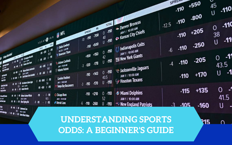 sports odds