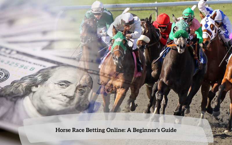 Horse race betting online